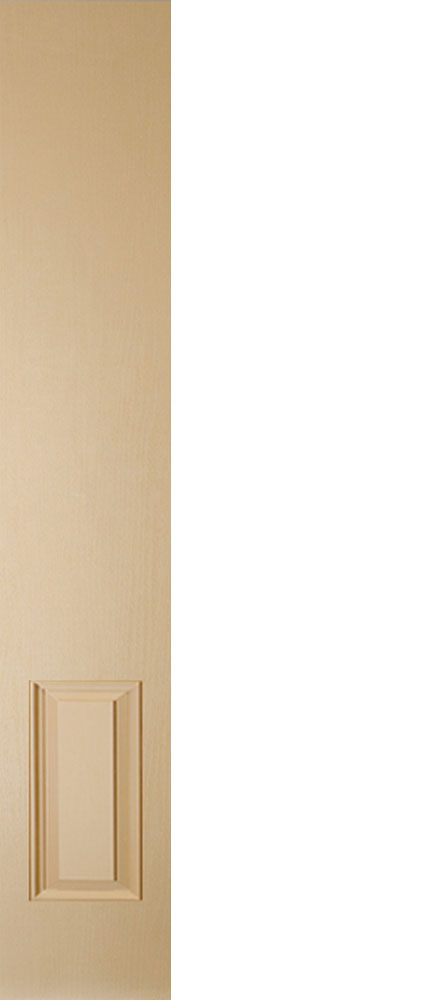 1 Panel Sidelite (MS35)