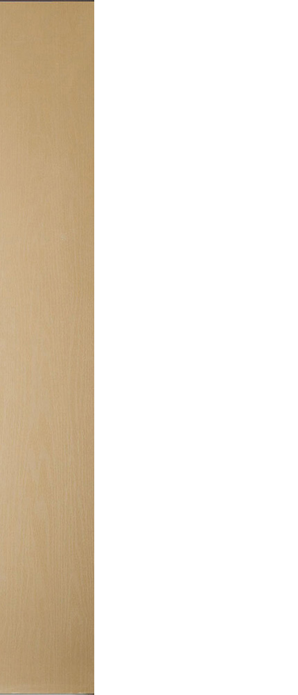 Flush Sidelite (WS00)