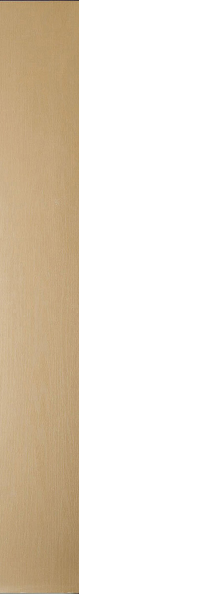 Flush Sidelite (WS01)